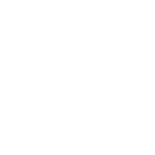 Paramore Official Store